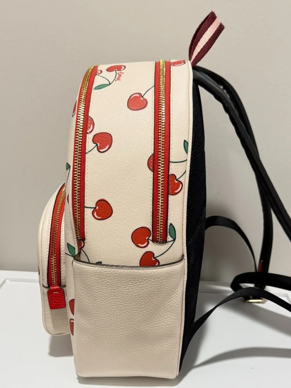 Coach court backpack